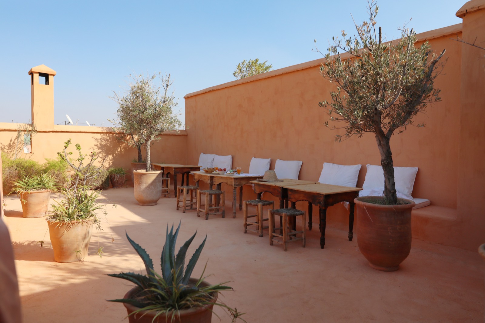 La terrasse sur les toits — oliviers en pots, longue table et banquettes face à la médina
